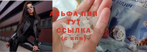 ПСИЛОЦИБИНОВЫЕ ГРИБЫ Белокуриха